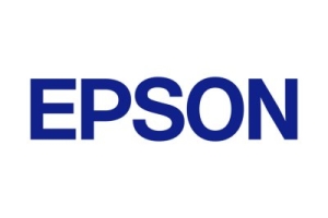 Epson DFX-8500 Ribbon Mask